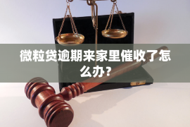 借款协议书范例与注意事项-催收人代写借条必备指南