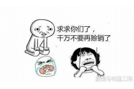 黄怒波追讨十亿债务