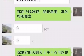 金麦被拍拍贷追债