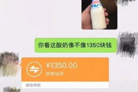 个人信息贷款催收要点全解析