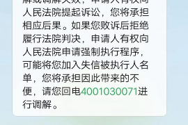 催收法院诉前调节：解决债务纠纷的有效途径