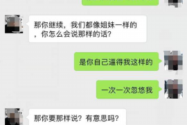 九天十地讨债：聚焦于追讨欠债者的无畏代表