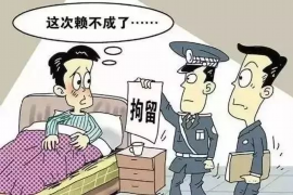 不良债权催收方案优化：提高效率降低成本