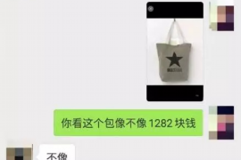 不良贷款催收管理重新规范与专业化的路径解析