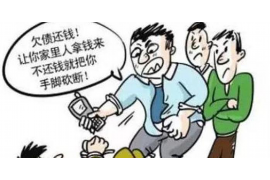 催收公司违法行为投诉指南