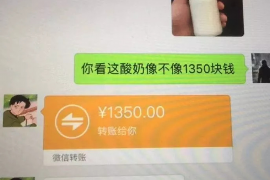 请代我向债务人追讨款项